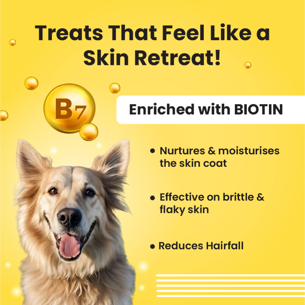 Bark Out Loud Skin & Coat Sardine Oil for Dogs and Cats Both-Health & Wellness Bark Out Loud