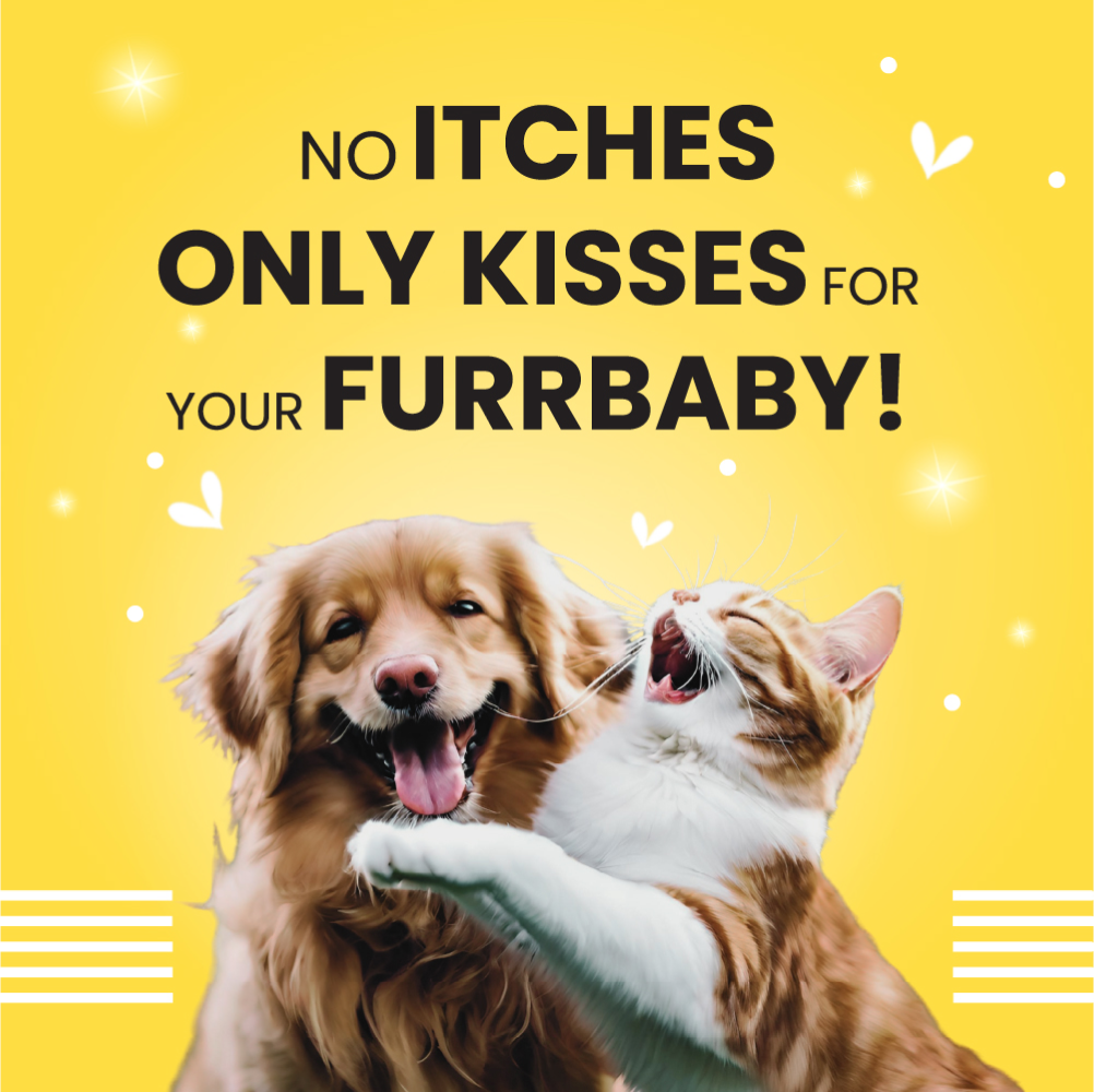 Bark Out Loud Skin & Coat Sardine Oil for Dogs and Cats Both-Health & Wellness Bark Out Loud