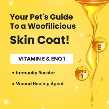 Bark Out Loud Skin & Coat Sardine Oil for Dogs and Cats