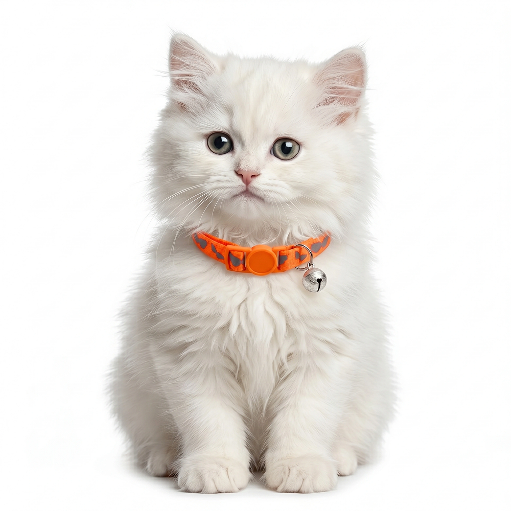 Basil Printed Collar for Cats & Puppies (Orange) Both-Collar, Leashes, harnesses Basil