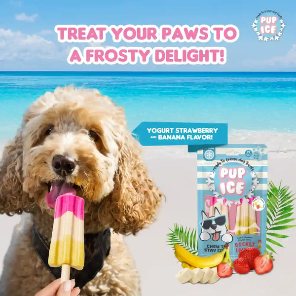Pup Ice Strawberry and Banana Flavoured Rocket Lollies Dog Treat