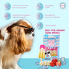 Pup Ice Strawberry and Banana Flavoured Rocket Lollies Dog Treat Dog Treats + Others Pup Ice