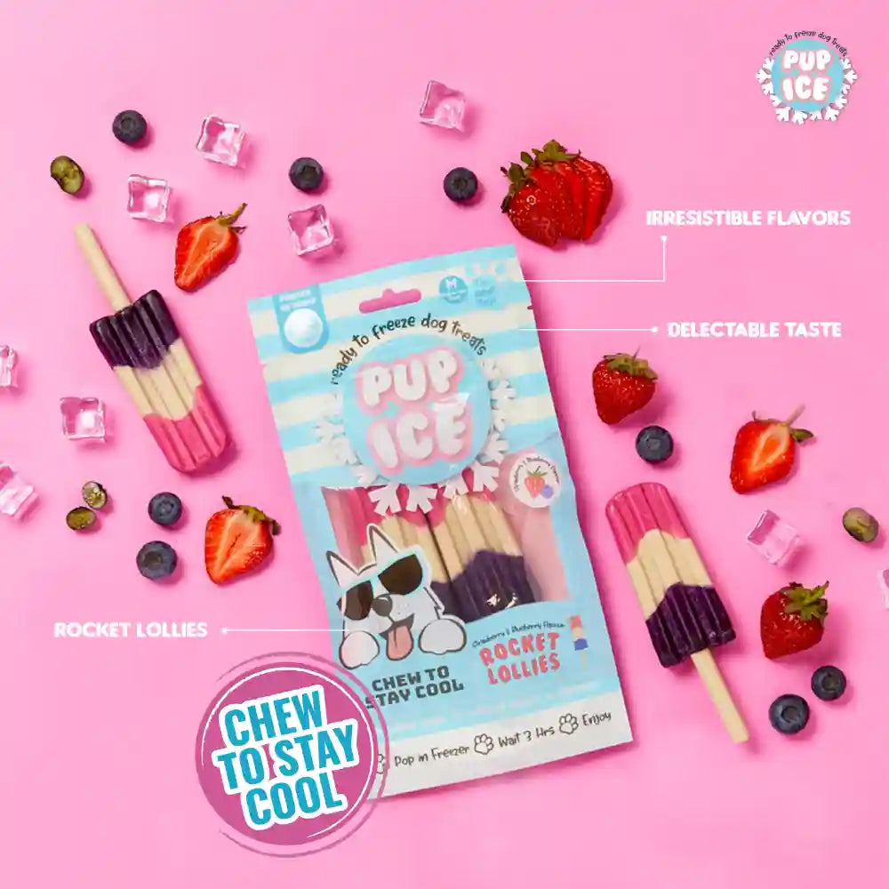Pup Ice Strawberry and Blueberry Flavoured Rocket Lollies Dog Treat