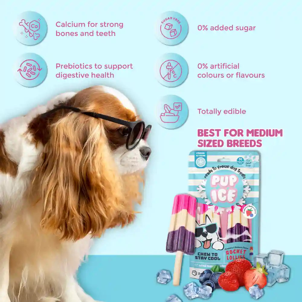 Pup Ice Strawberry and Blueberry Flavoured Rocket Lollies Dog Treat
