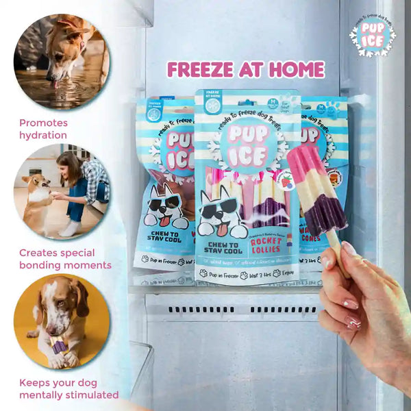 Pup Ice Strawberry and Blueberry Flavoured Rocket Lollies Dog Treat