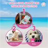 Pup Ice Strawberry and Blueberry Flavoured Rocket Lollies Dog Treat