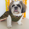 Pawgypets Brocade Lehenga for Dogs and Cats (Green) Both-Clothing & Accessories Pawgypets Dropship