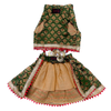 Pawgypets Brocade Lehenga for Dogs and Cats (Green) Both-Clothing & Accessories Pawgypets Dropship