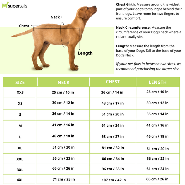 Pawgypets Festive Patola Dress for Dogs (Red)