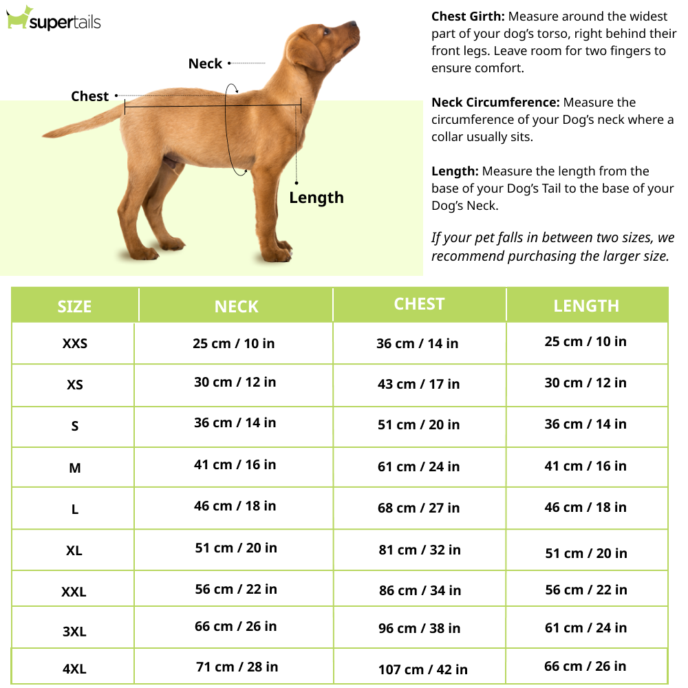Pawgypets Smiley O Clock Dress for Dogs (Lavender)