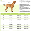 Pawgypets Smiley O Clock Dress for Dogs (Lavender)
