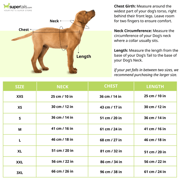 Pawgypets Astronaut Full Coverage Raincoat for Dogs and Cats