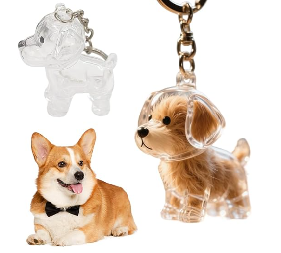 Skatrs Pet Hair Memory Pendant ( Assorted)