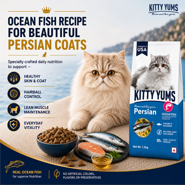 Kitty Yums Ocean Fish Persian Cat Dry Food