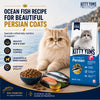 Kitty Yums Ocean Fish Persian Cat Dry Food Cats- Dry food Kitty Yums