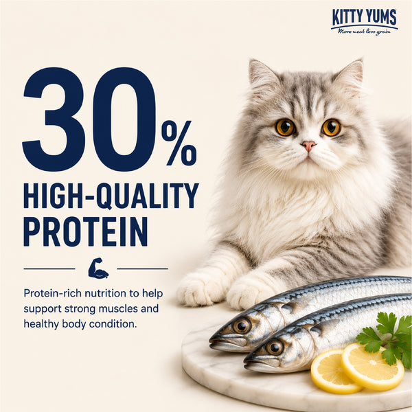 Kitty Yums Ocean Fish Persian Cat Dry Food