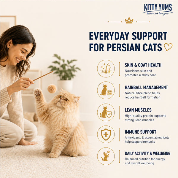 Kitty Yums Ocean Fish Persian Cat Dry Food