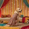 Skatrs Burgundy Regal Ensembl Festive Grace Lehenga for Dogs and Cats Both-Clothing & Accessories Skatrs
