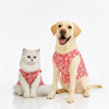 Skatrs Floral Grace Kurta for Dogs and Cats (Pink) Both-Clothing & Accessories Skatrs S