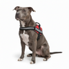 Skatrs Police K9 Harness for Dogs (Red) Both-Collar, Leashes, harnesses Skatrs S
