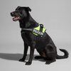 Skatrs Police K9 Harness for Dogs (Neon Green) Both-Collar, Leashes, harnesses Skatrs