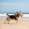 Skatrs Police K9 Harness for Dogs (Red) Both-Collar, Leashes, harnesses Skatrs