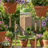 Skatrs Bird Feeder Birds Skatrs