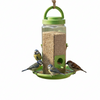 Skatrs Bird Feeder Birds Skatrs