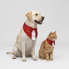 Skatrs Red Tuxedo Party Bandana for Dogs and Cats Both-Clothing & Accessories Skatrs L