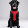 Skatrs Fully Padded Harness for Dogs (Ruby Red) Dogs-Collar, Leashes, harnesses Skatrs