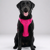 Skatrs Fully Padded Harness for Dogs (Flamingo Pink) Dogs-Collar, Leashes, harnesses Skatrs