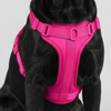 Skatrs Fully Padded Harness for Dogs (Flamingo Pink) Dogs-Collar, Leashes, harnesses Skatrs