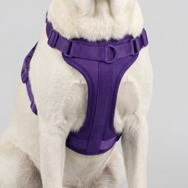 Skatrs Fully Padded Harness for Dogs (Cosmic Purple)
