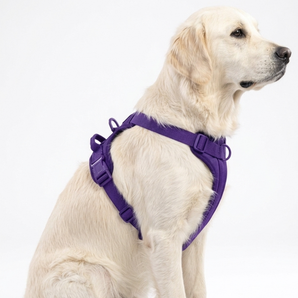 Skatrs Fully Padded Harness for Dogs (Cosmic Purple)