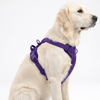 Skatrs Fully Padded Harness for Dogs (Cosmic Purple) Dogs-Collar, Leashes, harnesses Skatrs