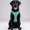 Skatrs Fully Padded Harness for Dogs (Aqua Teal) Dogs-Collar, Leashes, harnesses Skatrs S