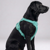 Skatrs Fully Padded Harness for Dogs (Aqua Teal) Dogs-Collar, Leashes, harnesses Skatrs