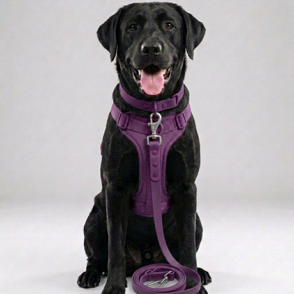 Skatrs 3 in 1 Adjustable Leash for Dogs (Cosmic Purple) Dogs-Collar, Leashes, harnesses Skatrs