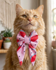 Skatrs Watermelon bowtie for Dogs and Cats Both-Clothing & Accessories Skatrs