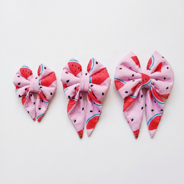 Skatrs Watermelon bowtie for Dogs and Cats
