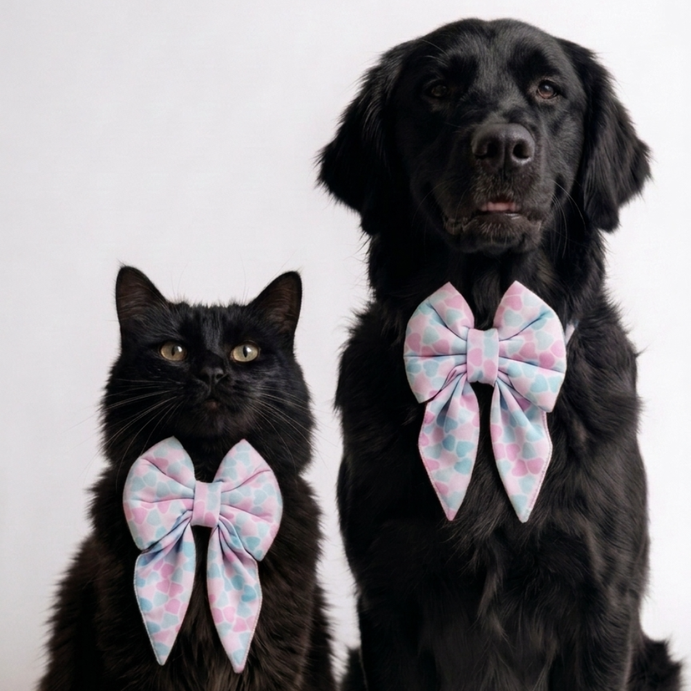 Skatrs Heart Bowtie for Dogs and Cats Both-Clothing & Accessories Skatrs S