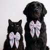 Skatrs Heart Bowtie for Dogs and Cats Both-Clothing & Accessories Skatrs S