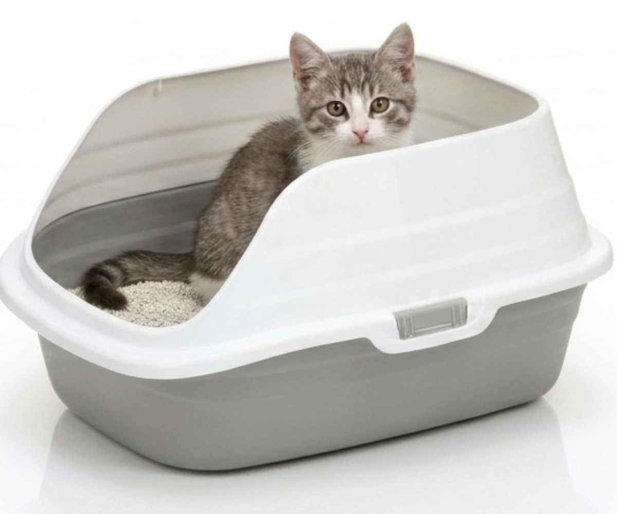 Skatrs High Sided Splash Proof & Spacious Litter Box for Cats Litter Supplies Skatrs 48x39x27cm
