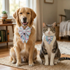 Skatrs Heart Bowtie for Dogs and Cats Both-Clothing & Accessories Skatrs