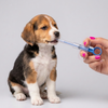 Skatrs Medicine Feeder for Dogs and Cats (Colour may vary) Both-Health & Wellness Skatrs