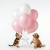 Skatrs Birthday Hamper for Dogs and Cats (Pink) Both-Clothing & Accessories Skatrs