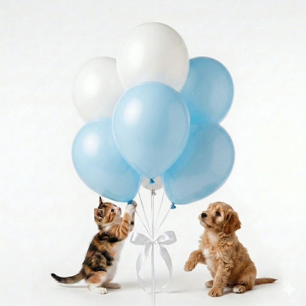 Skatrs Birthday hamper for Dogs and Cats (Blue)