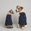 Skatrs Little Explorer Tee for Dogs & Cats Both-Clothing & Accessories Skatrs XS