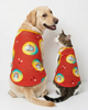 Skatrs Boho Rainbow T-Shirt for Dogs and Cats Both-Clothing & Accessories Skatrs XS