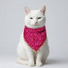 Skatrs Ethnic Bandana for Cats (Pink) Both-Clothing & Accessories Skatrs